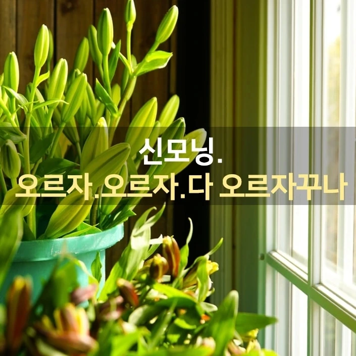 IMG%EF%BC%BF20220207%EF%BC%BF074023%EF%BC%BF080.jpg?type=w1