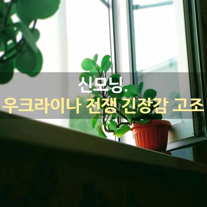 IMG%EF%BC%BF20220125%EF%BC%BF074700%EF%BC%BF295.jpg?type=w1