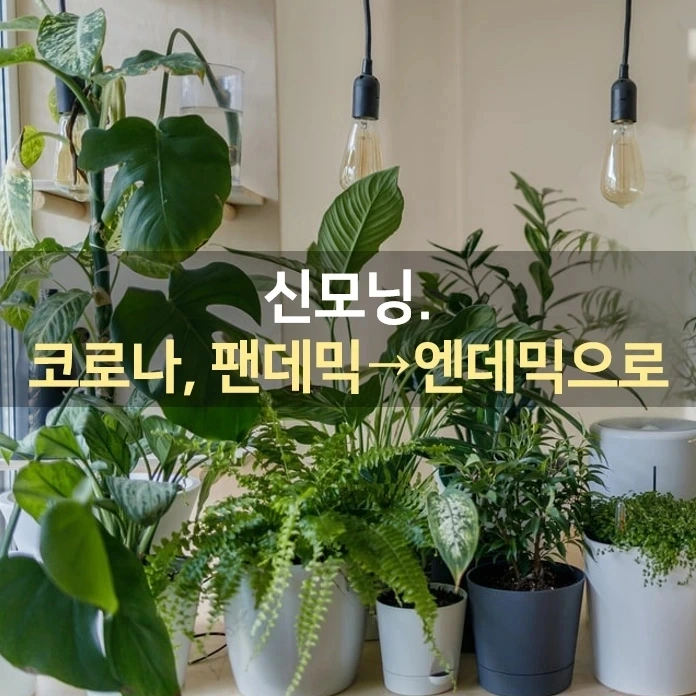 IMG%EF%BC%BF20220124%EF%BC%BF073614%EF%BC%BF446.jpg?type=w1