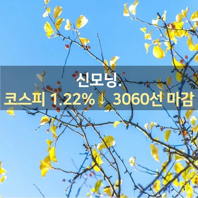 IMG%EF%BC%BF20210930%EF%BC%BF074454%EF%BC%BF366.jpg?type=w1