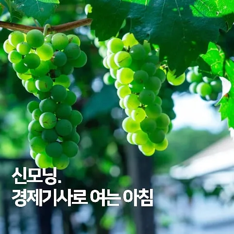 IMG%EF%BC%BF20210617%EF%BC%BF074016%EF%BC%BF384.jpg?type=w1