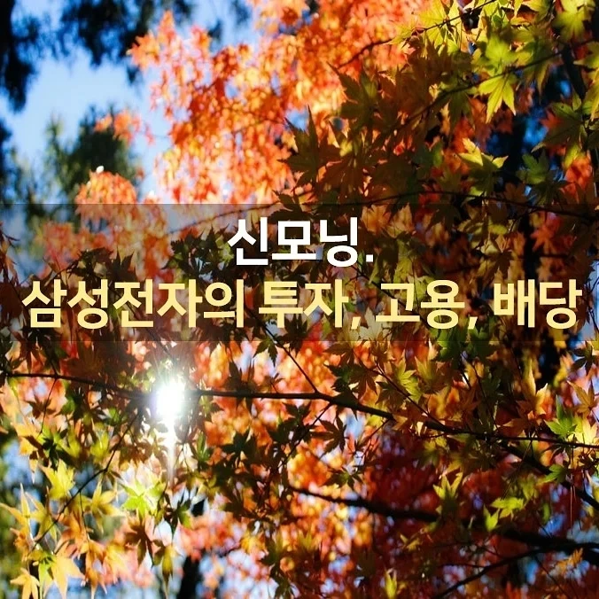 IMG%EF%BC%BF20210825%EF%BC%BF073041%EF%BC%BF240.jpg?type=w1