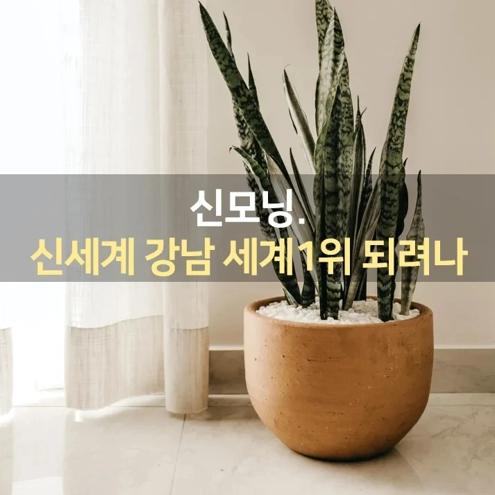 IMG%EF%BC%BF20220210%EF%BC%BF074101%EF%BC%BF514.jpg?type=w1