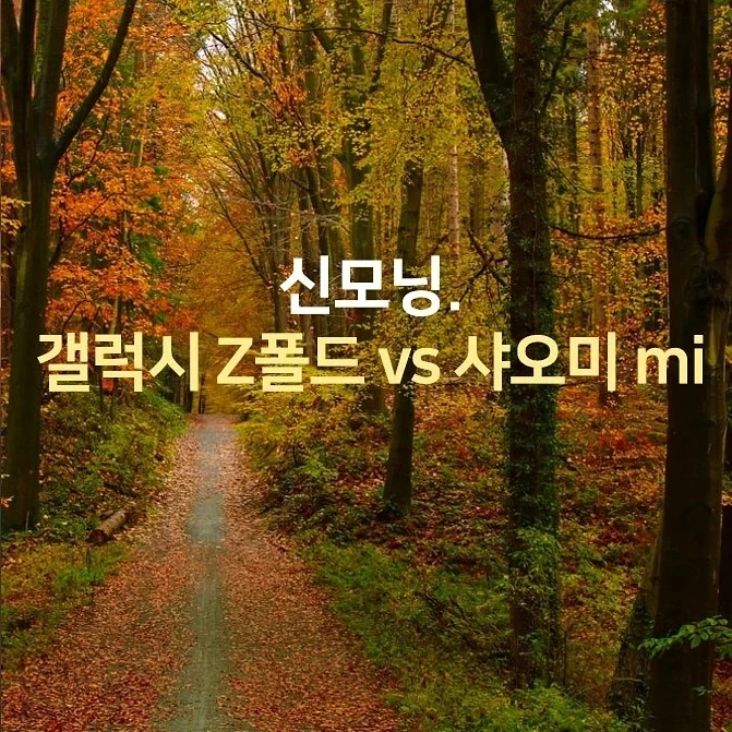 IMG%EF%BC%BF20210812%EF%BC%BF073618%EF%BC%BF631.jpg?type=w1