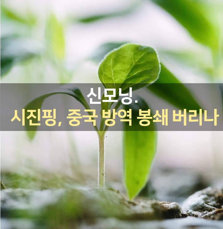 1647901359269.png?type=w1