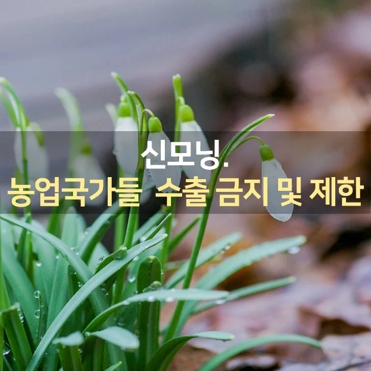 IMG%EF%BC%BF20220314%EF%BC%BF072043%EF%BC%BF150.jpg?type=w1