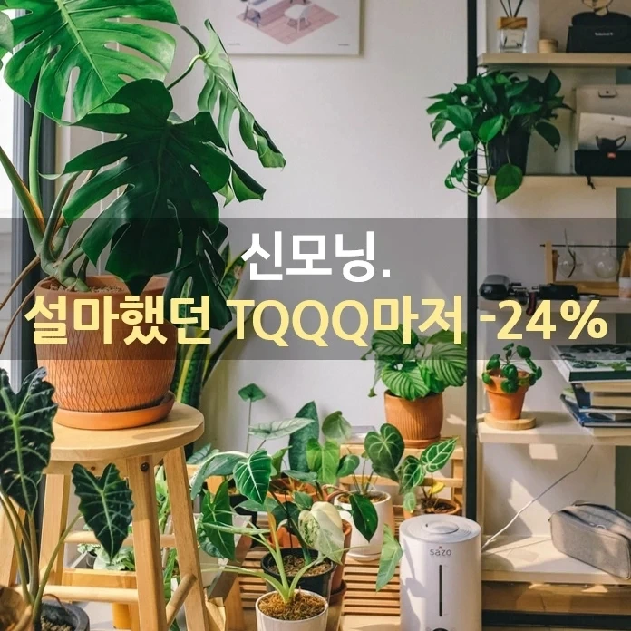 IMG%EF%BC%BF20220121%EF%BC%BF074811%EF%BC%BF183.jpg?type=w1