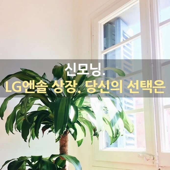 IMG%EF%BC%BF20220127%EF%BC%BF073516%EF%BC%BF903.jpg?type=w1