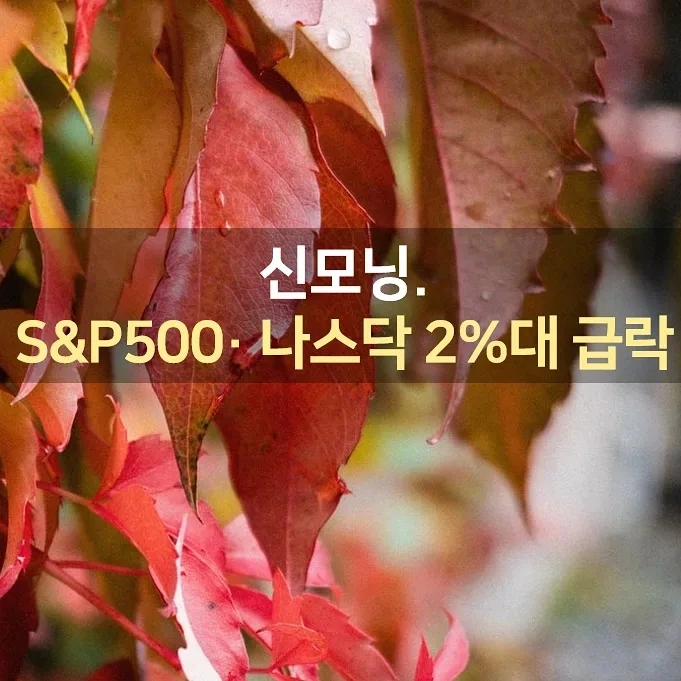 IMG%EF%BC%BF20210929%EF%BC%BF074341%EF%BC%BF683.jpg?type=w1