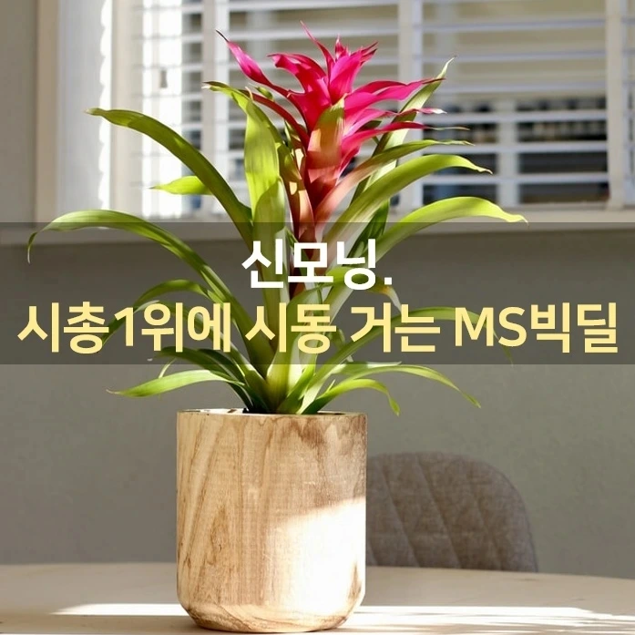 IMG%EF%BC%BF20220120%EF%BC%BF083941%EF%BC%BF621.jpg?type=w1