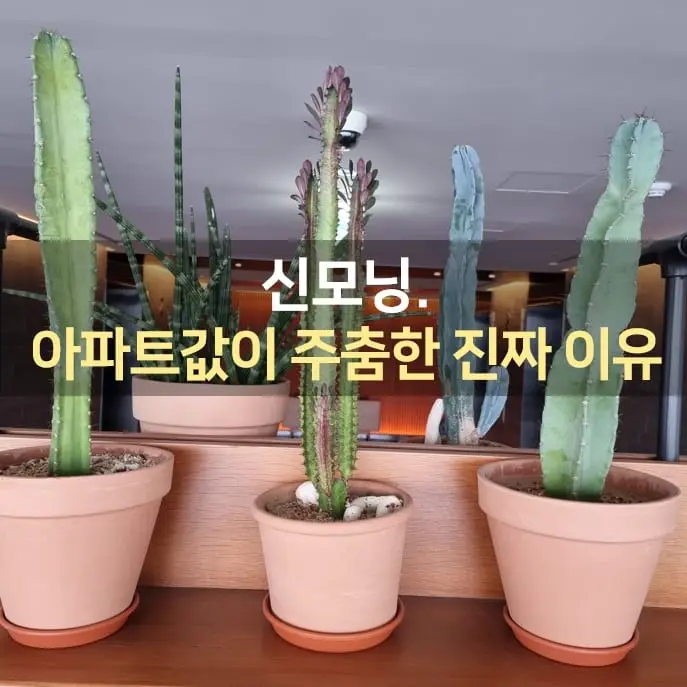 IMG%EF%BC%BF20211125%EF%BC%BF074004%EF%BC%BF497.jpg?type=w1