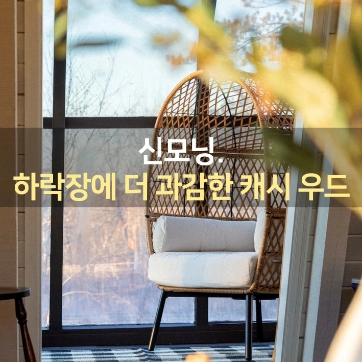 IMG%EF%BC%BF20220215%EF%BC%BF073509%EF%BC%BF956.jpg?type=w1