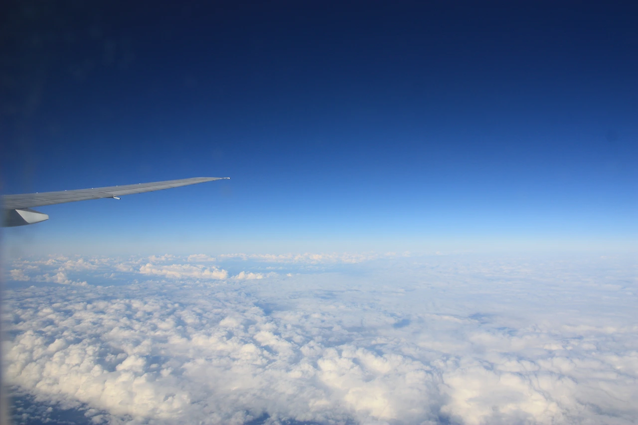 비행기 날개.JPG