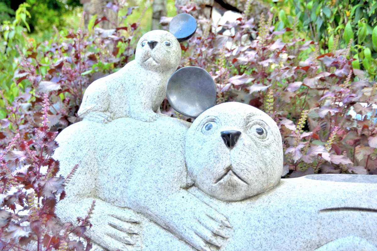 Birds House_Rabbits_DSC_1386_01_24.JPG