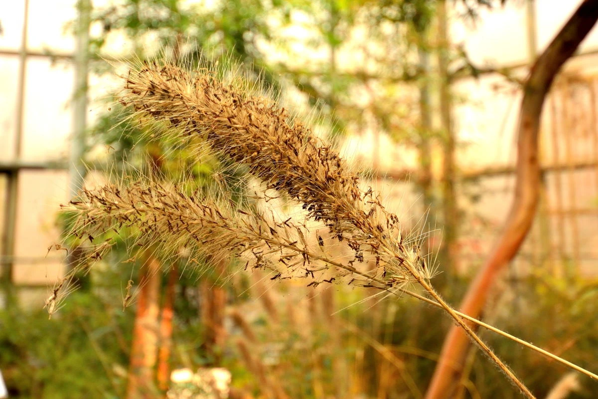 Birds House_Spring_DSC_7296_01_01_37.JPG