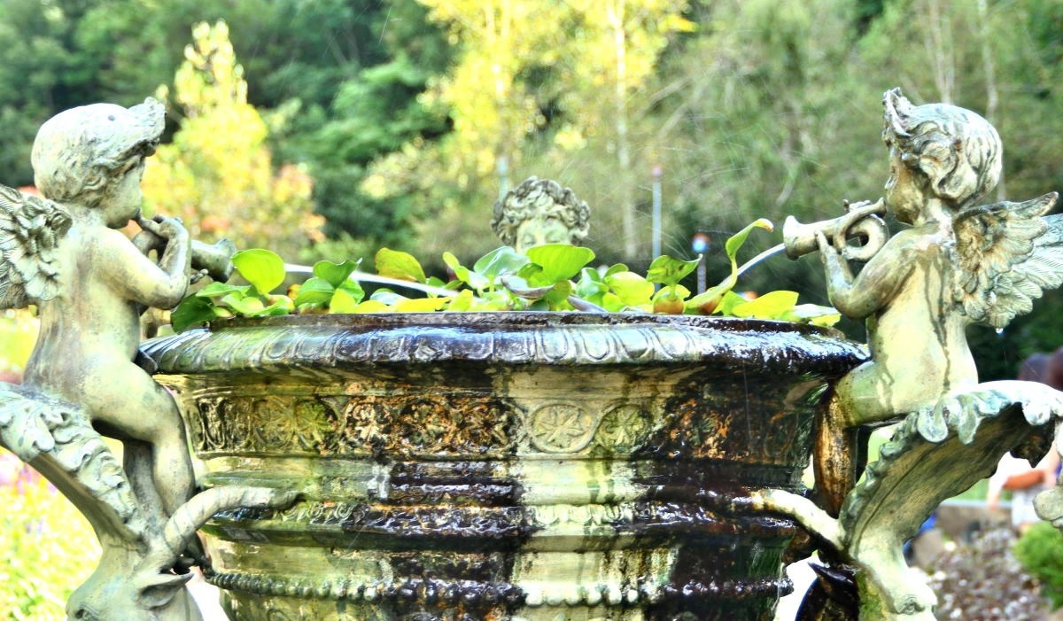 Birds House_Spring_DSC_1194_01_01 (2)_26.JPG