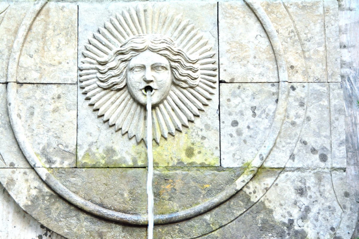 Birds House_Spring_DSC_1407_01_32.JPG