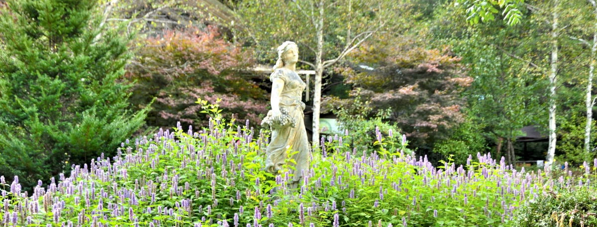 Birds House_Spring_DSC_1395_01_01_29.JPG