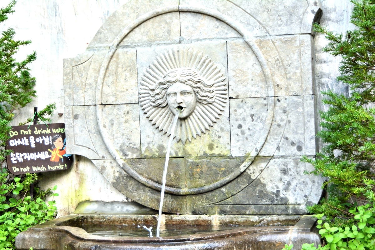 Birds House_Spring_DSC_1406_01_31.JPG