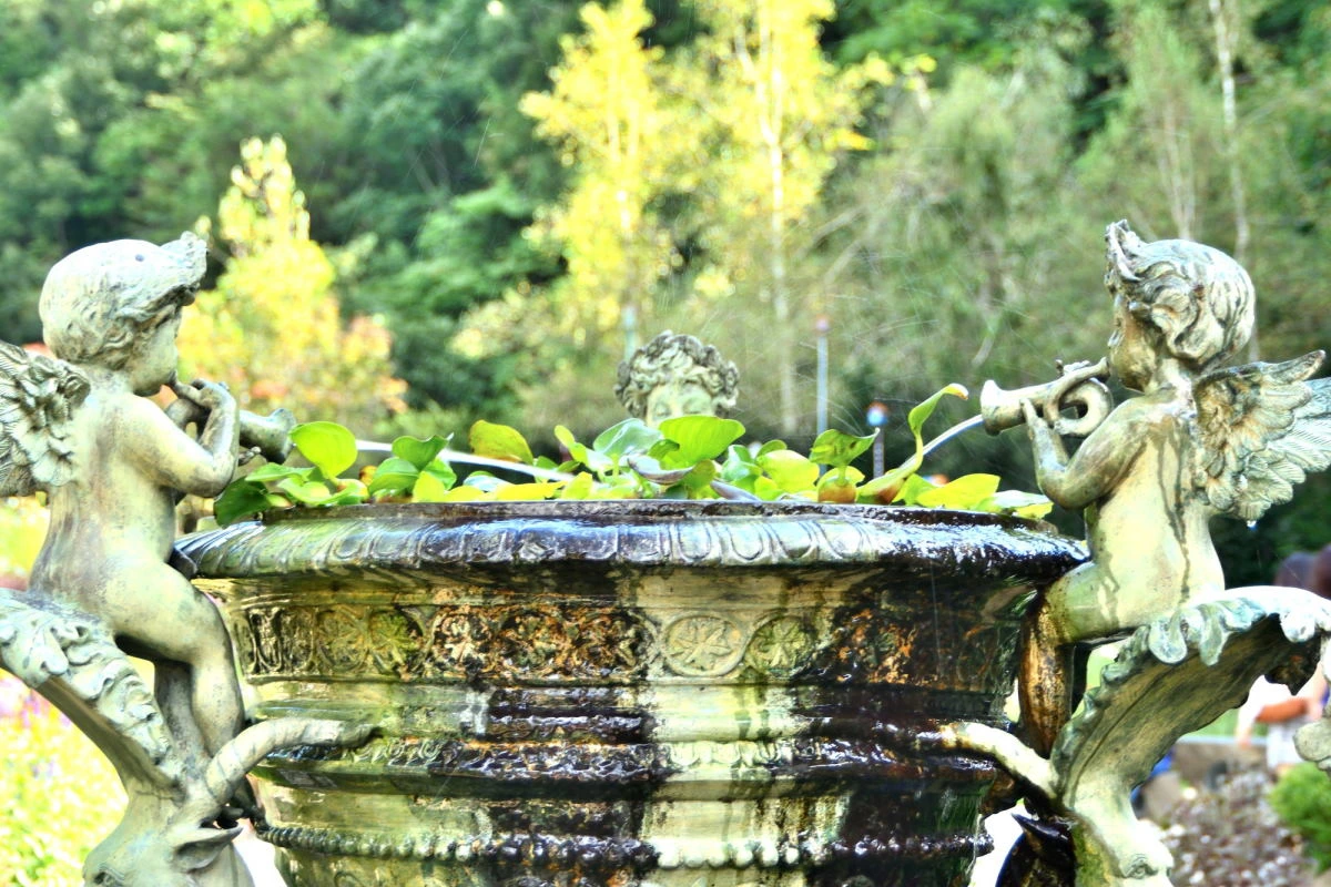 Birds House_Landscape spring_DSC_1194_01_22.JPG