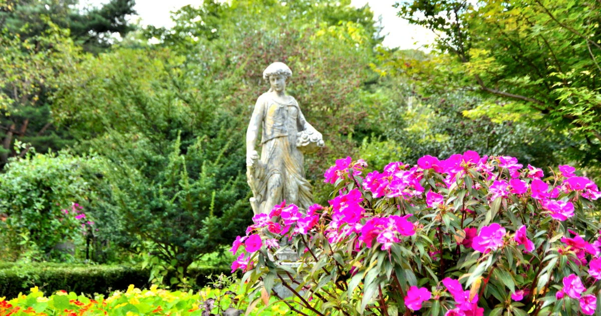 Birds House_Spring_DSC_1397_01_01_30.JPG