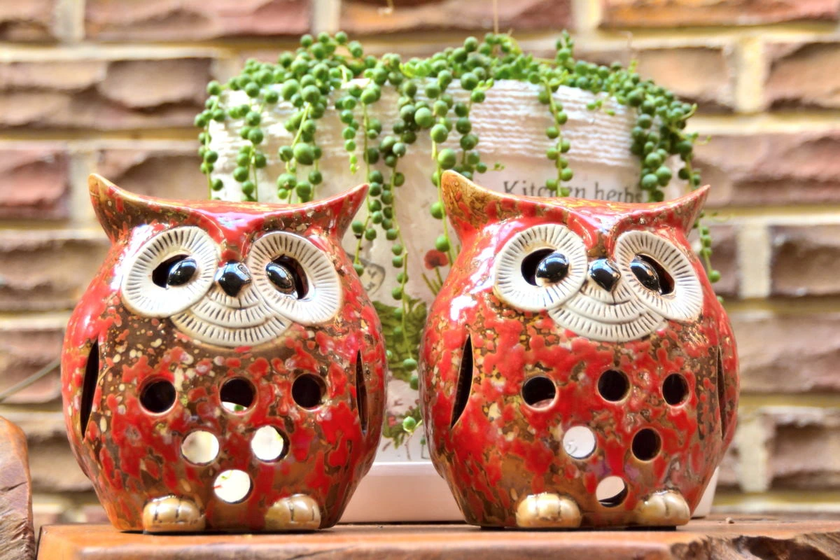 Birds House_Owl couple_DSC_1220_01_23.JPG
