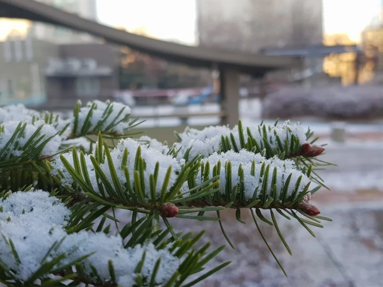 2017-12-02_08.34.01.jpg?type=w773