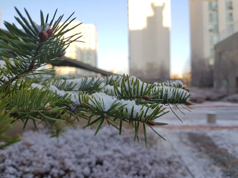 2017-12-02_08.33.54.jpg?type=w773