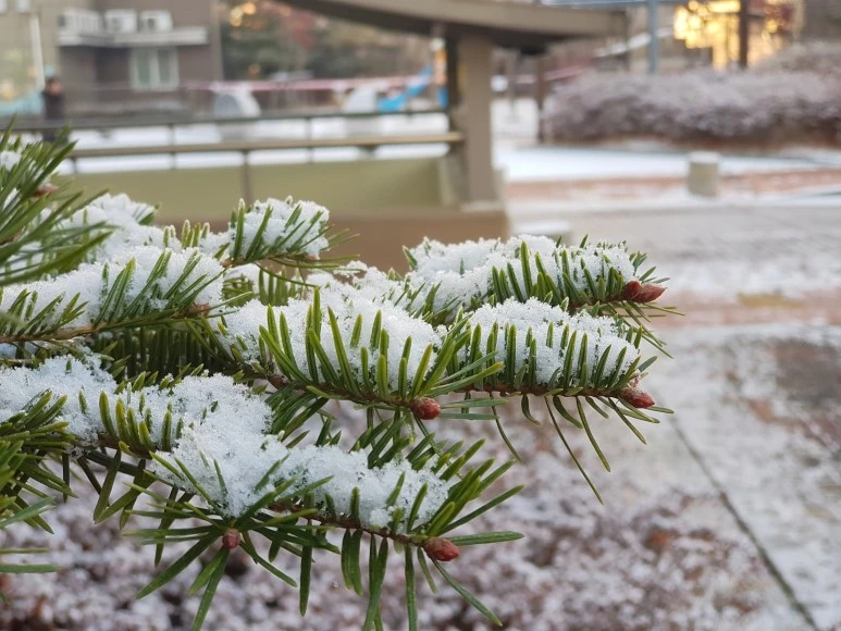 2017-12-02_08.34.36.jpg?type=w773