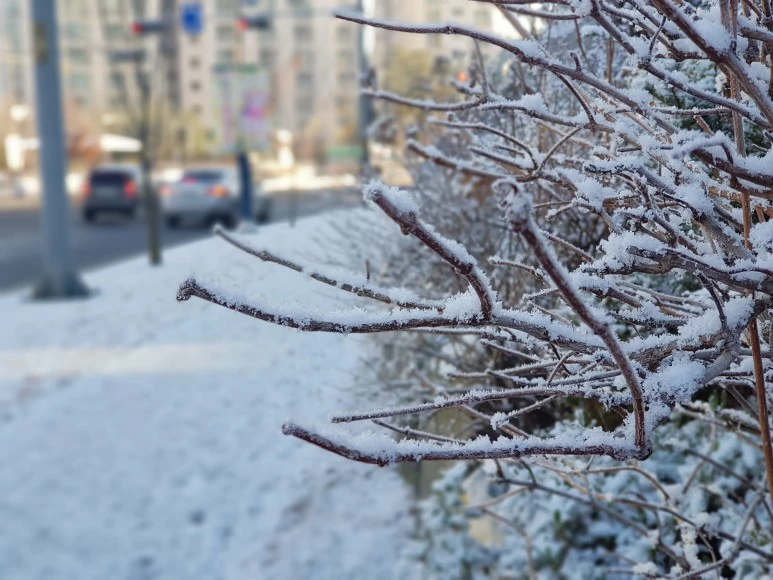 2017-12-02_09.10.29.jpg?type=w773