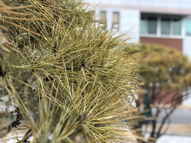 IMG_1947.JPG?type=w773