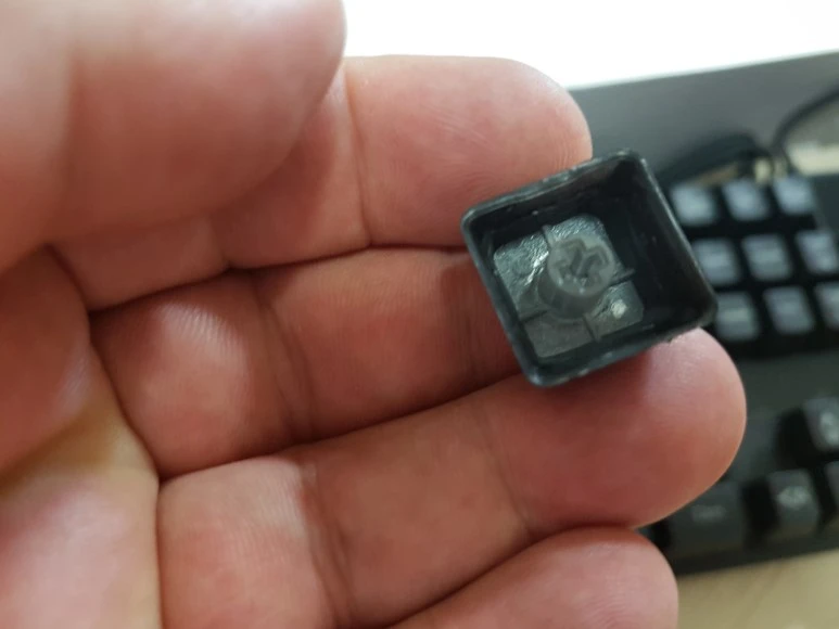 20170401_140635.jpg?type=w773