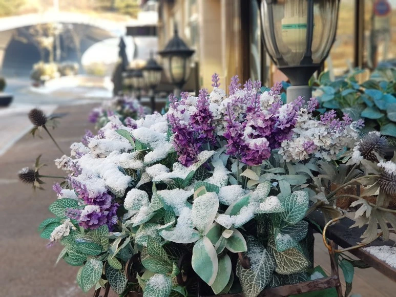 2017-12-02_08.44.00.jpg?type=w773