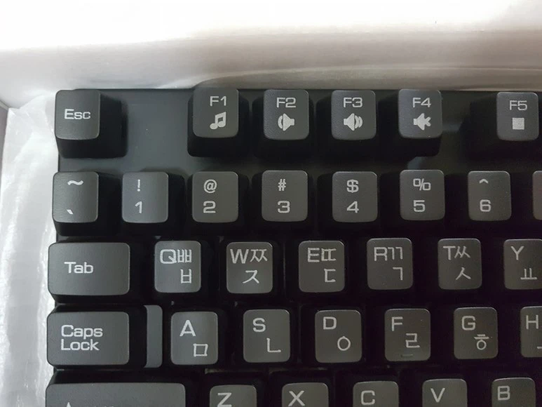 20170401_140347.jpg?type=w773