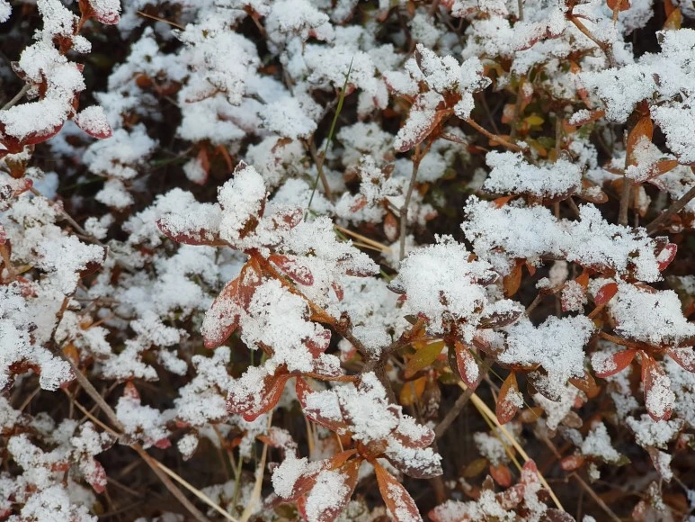 2017-12-02_08.35.01.jpg?type=w773