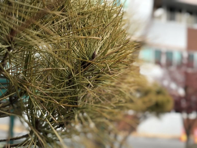 IMG_1946.JPG?type=w773