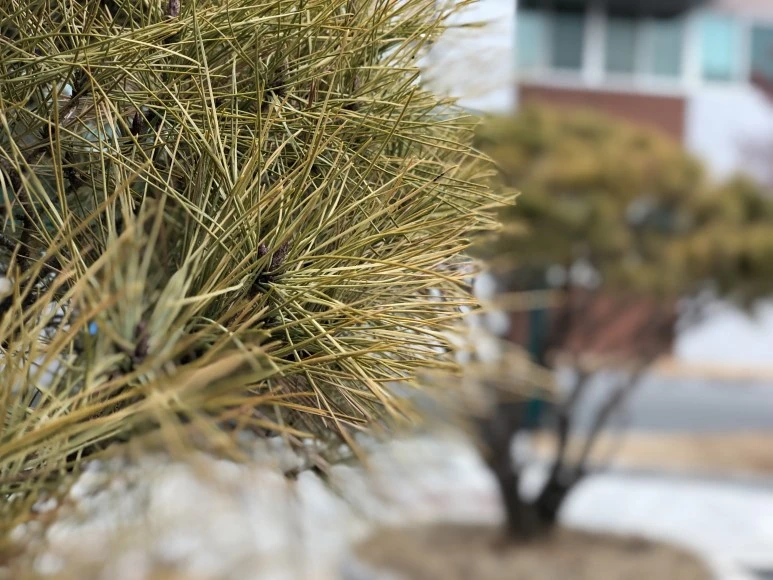 IMG_1948.JPG?type=w773