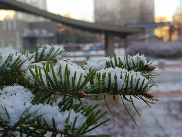 2017-12-02_08.34.04.jpg?type=w773