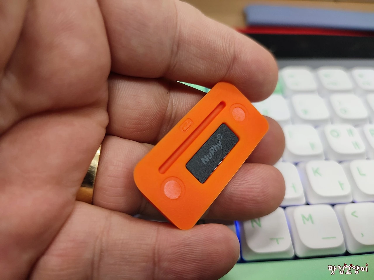 IMG_20221215_150413.jpg?type=w1600