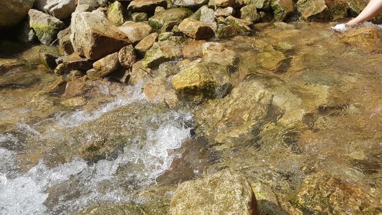 20170801_152043.jpg?type=w773