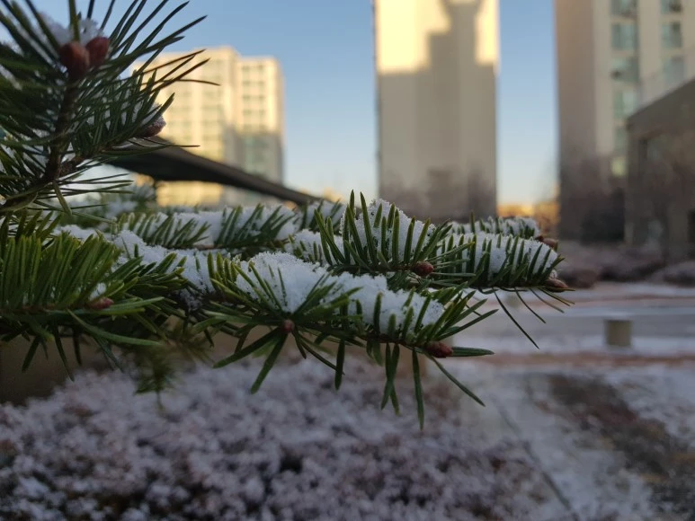 2017-12-02_08.33.49.jpg?type=w773