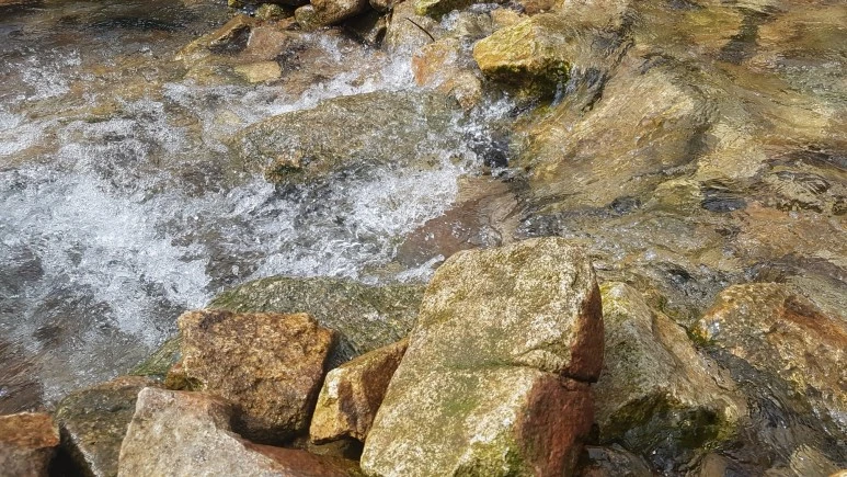 20170801_151936.jpg?type=w773