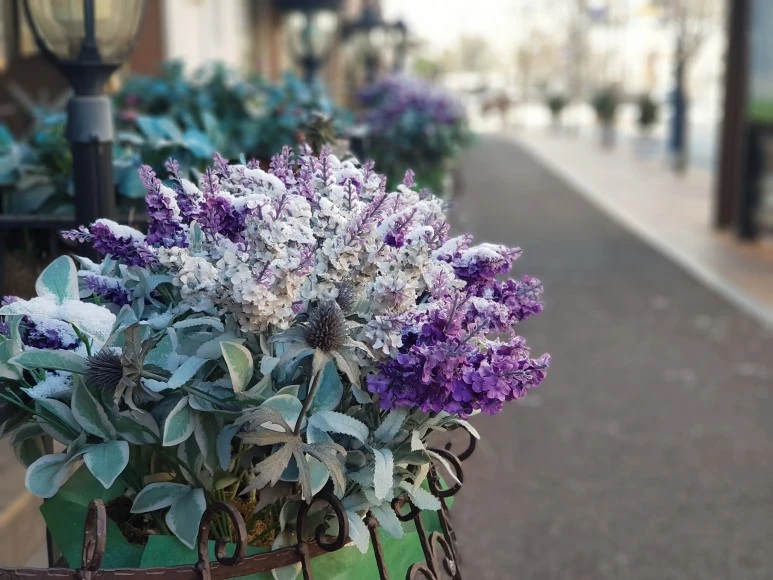 2017-12-02_08.43.45.jpg?type=w773