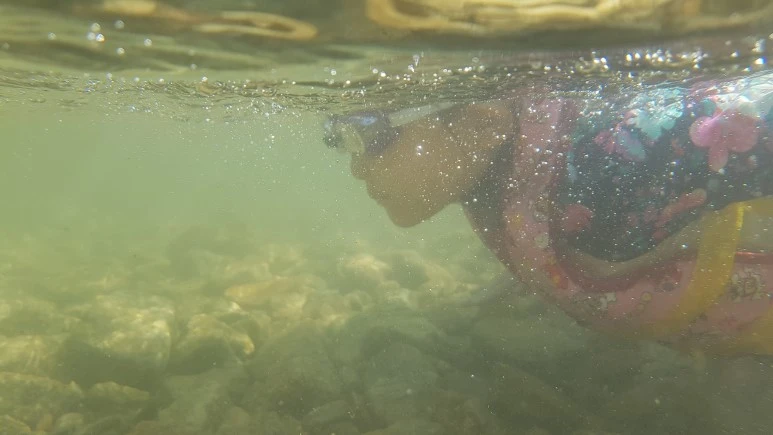 20170801_160919.jpg?type=w773