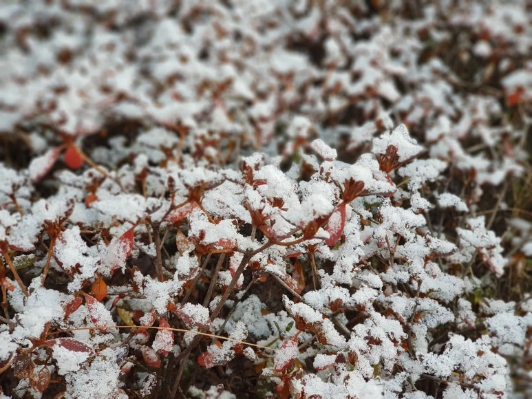 2017-12-02_08.34.52.jpg?type=w773