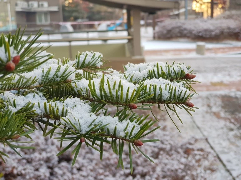 2017-12-02_08.34.26.jpg?type=w773