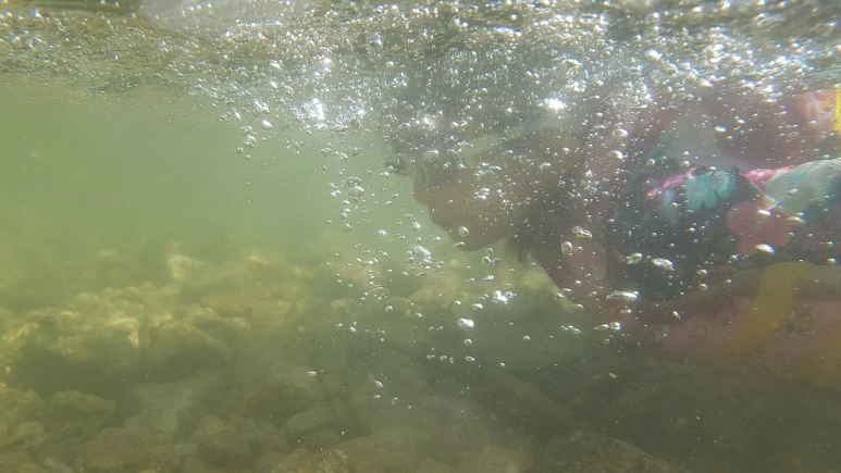 20170801_160918.jpg?type=w773