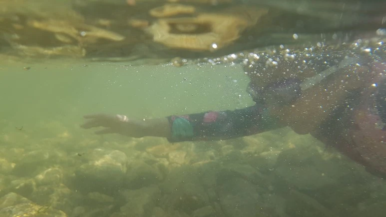 20170801_160920.jpg?type=w773