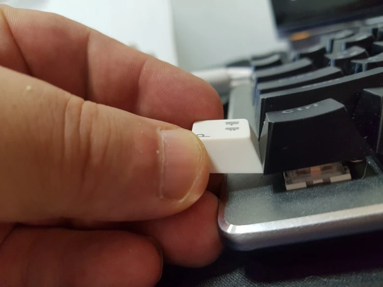 20170404_160045.jpg?type=w773