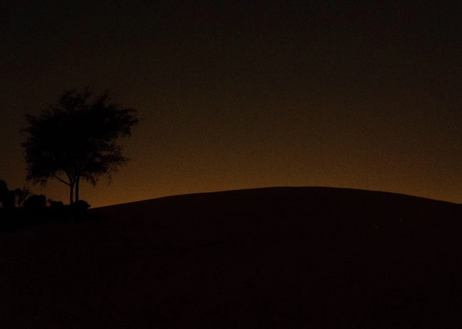 IMG_6598.JPG?type=w966